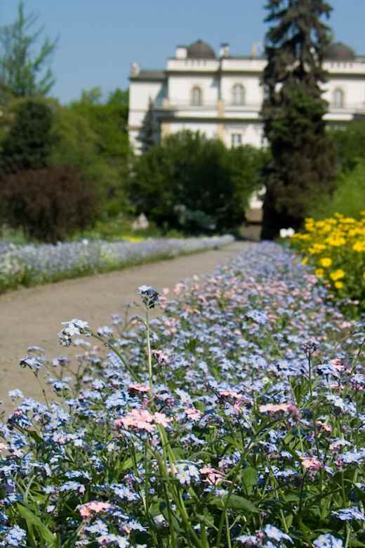 Botanical garden Krakow (2006-05-13) 01