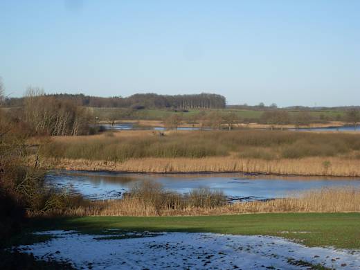 Vogelfreistätte Lebrader Teich 1
