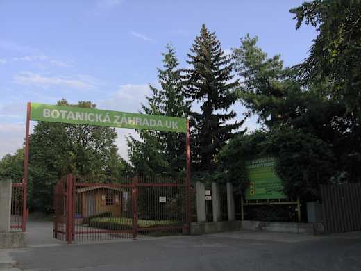 Botanic Garden of Comenius University