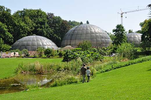 Zürich - Weinegg Botanischer Garten IMG 1863