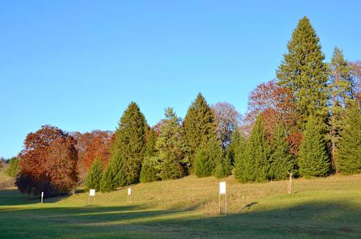 FFH-Gebiet Truppenübungsplatz Heuberg, Zollernalbkreis