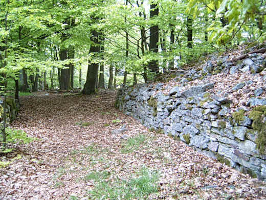 Torgasse1