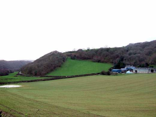Llanerch meadows at the top of Cwm Gwaun - geograph.org.uk - 323894