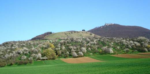 Hohenbol und Teckberg