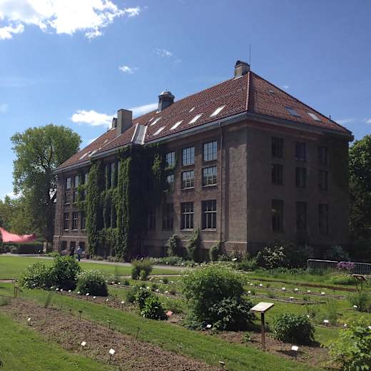 University of Oslo Natural History Museum; Geological Museum