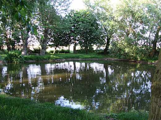 Heiligenhafen2010 021