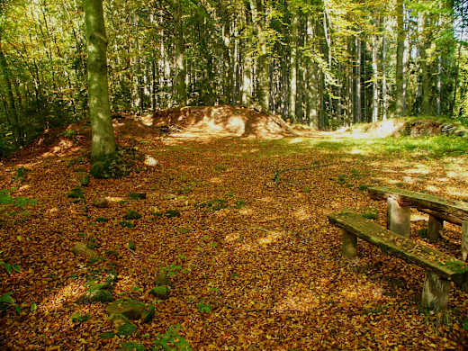 Milnrode mauerreste