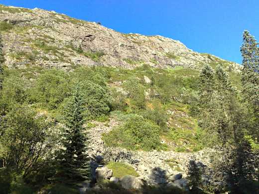 Blaamanen