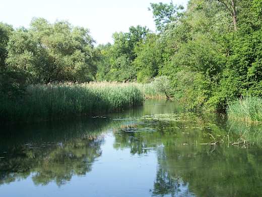 NSG Burgau (2014), Federbach 1