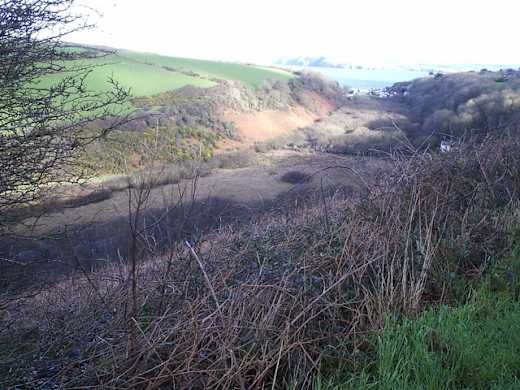 The Cwm, Dinas island - geograph.org.uk - 207025