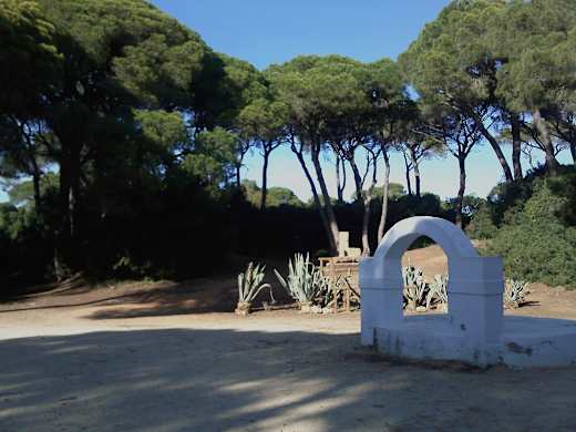 Patiodelpozopuertoreal