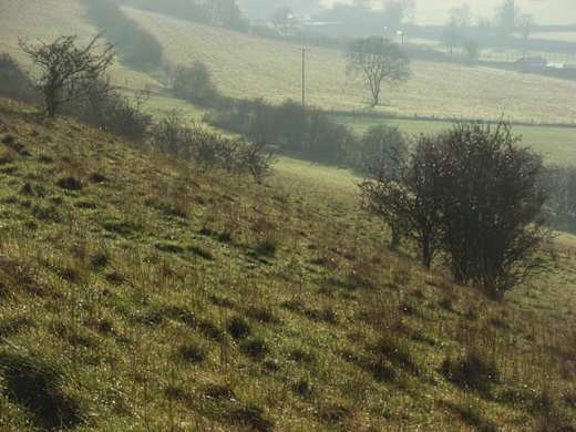 Turville Hill - geograph.org.uk - 295211