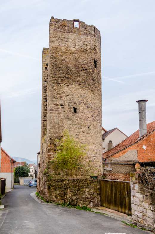 Hammelburg, Baderturm-003