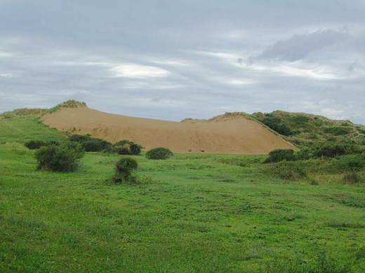 Braunton Burrows dune