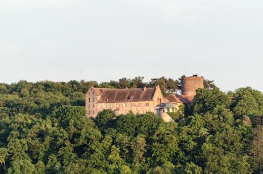 Hammelburg, Burg Saaleck von Norden-002
