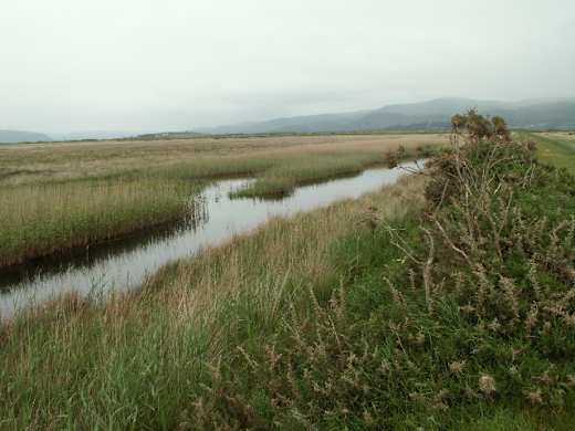 Cors Fochno Aberleri Nature Reserve