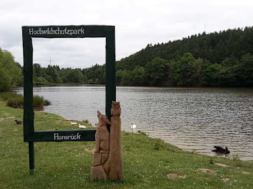 Hochwild Schutzpark Rheinböllen