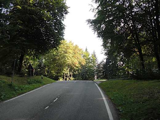 Löcherbergwasen