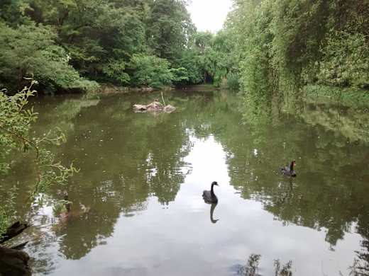 Großer Weiher, Innsbruck