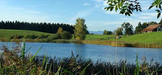 Kleiner Staudacher Weiher