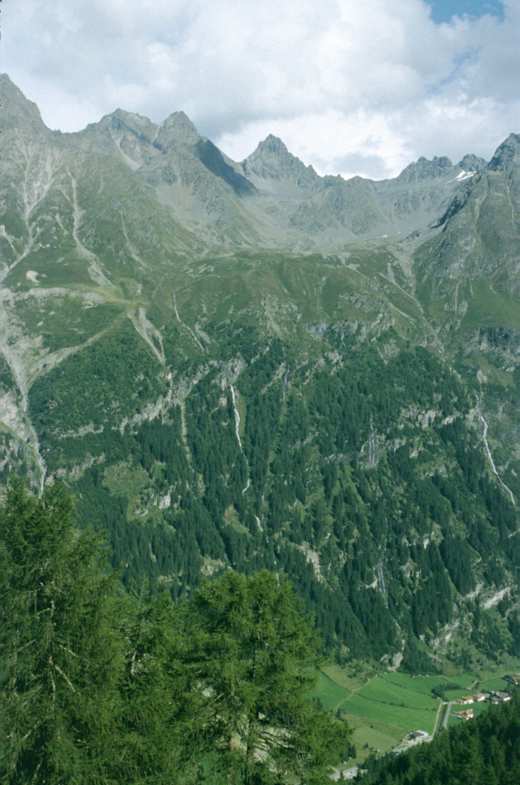Luibiskogel