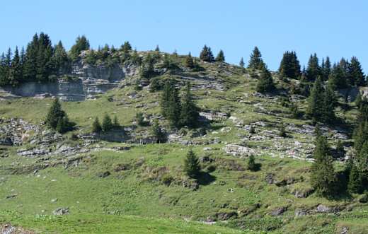 Eingang Wildmannlisloch