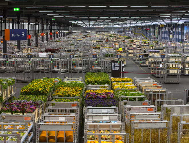 Aalsmeer, Royal FloraHolland