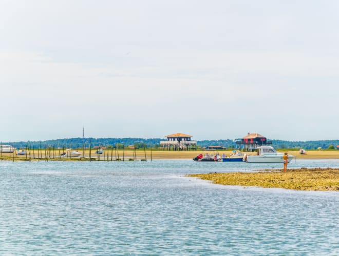 Arcachon, Ile aux Oiseaux
