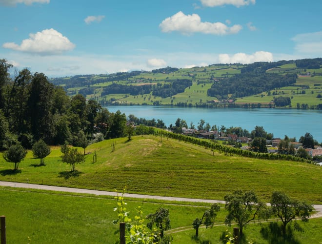 Baldegg, Baldegger See