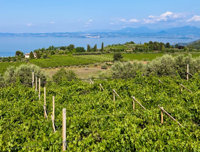 Bardolino, Strada del Vino Bardolino