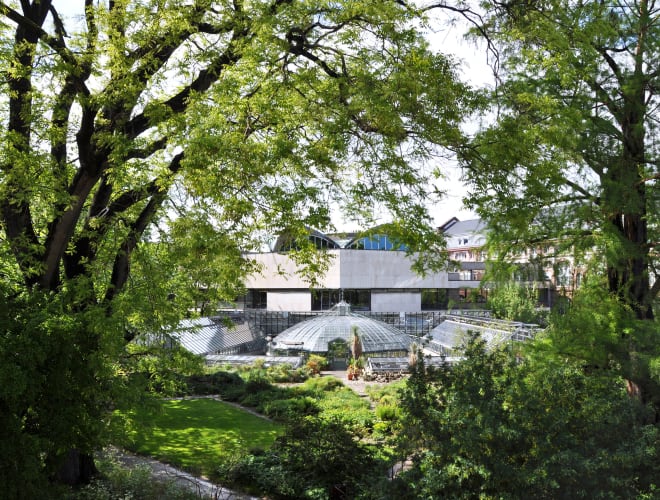 Basel, Botanischer Garten der Universität Basel