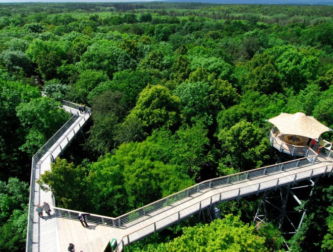 Schönstedt, Baumkronenpfad Nationalpark Hainich