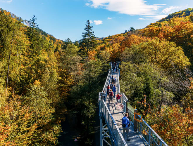 Bad Harzburg, Baumwipfelpfad HARZ