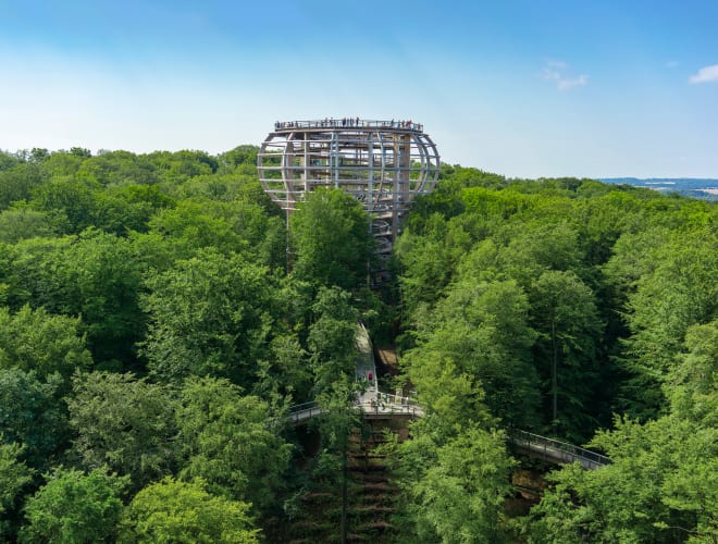 Ostseebad Binz, Baumwipfelpfad Rügen