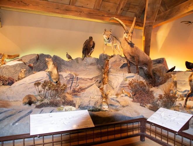 Bourg-St-Pierre, Hospiz-Museum am Großen St. Bernard