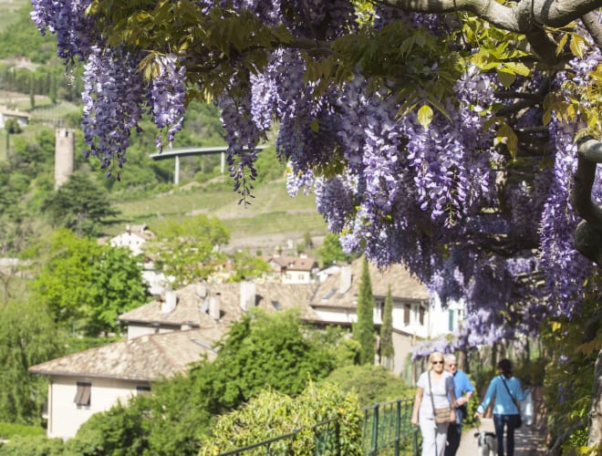 Bozen, Oswaldpromenade