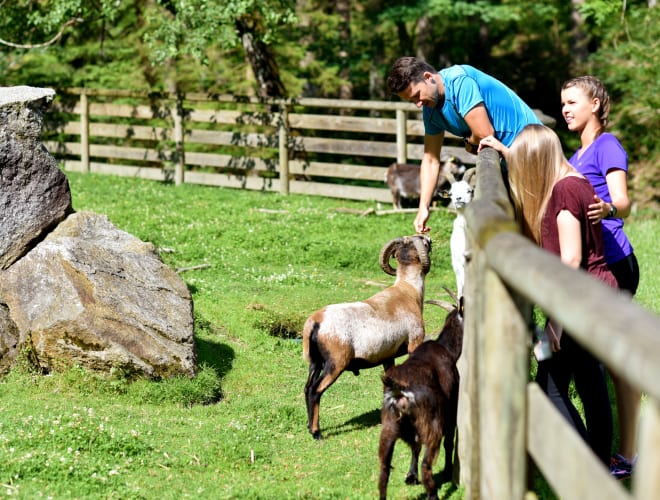 Bruck an der Mur, Naturschutzzentrum Weitental