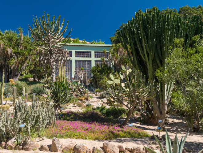 Cagliari, Hortus Botanicus Karalitanus