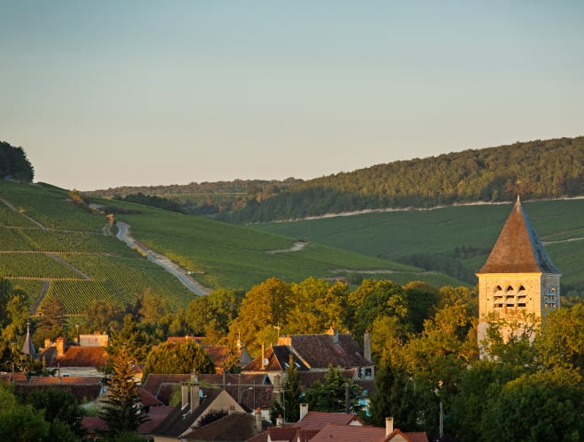 Chablis, St-Vincent Tournante