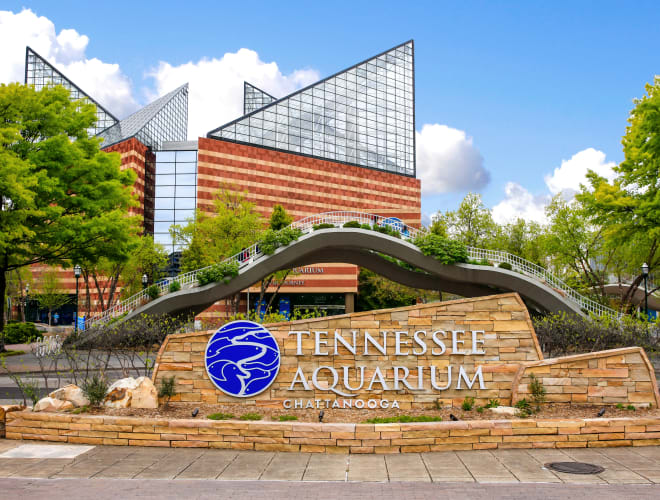 Tennessee Aquarium, Chattanooga Infos, Preise und mehr ADAC Maps