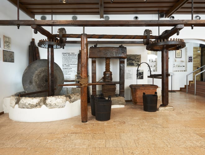 Cisano, Museo dell'Olio d'Oliva