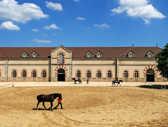 Cluny, Haras National de Cluny