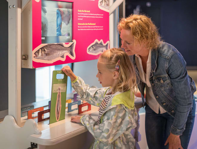 De Koog/Texel (Insel), EcoMare Naturkundemuseum
