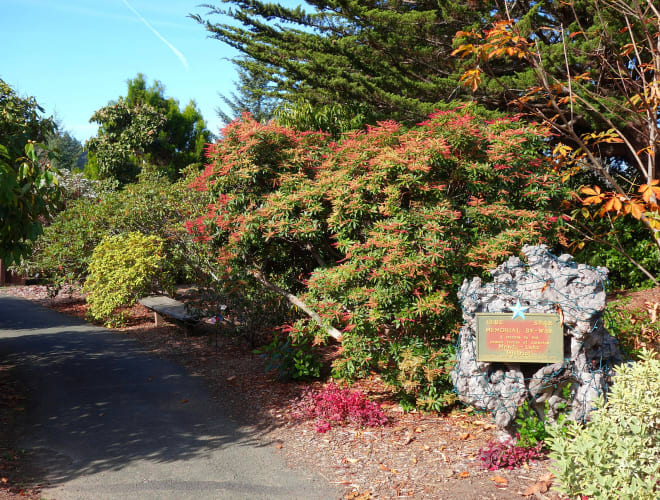 Fort Bragg, CA, Mendocino Coast Botanical Gardens