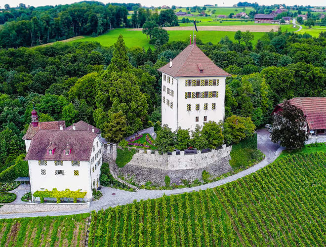 Gelfingen, Schloss Heidegg