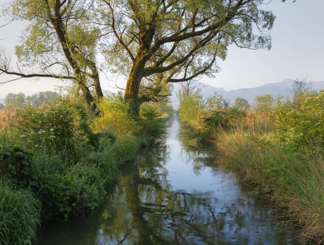 Grabenstätter Moos, Grabenstätt Infos, Preise und mehr ADAC Maps