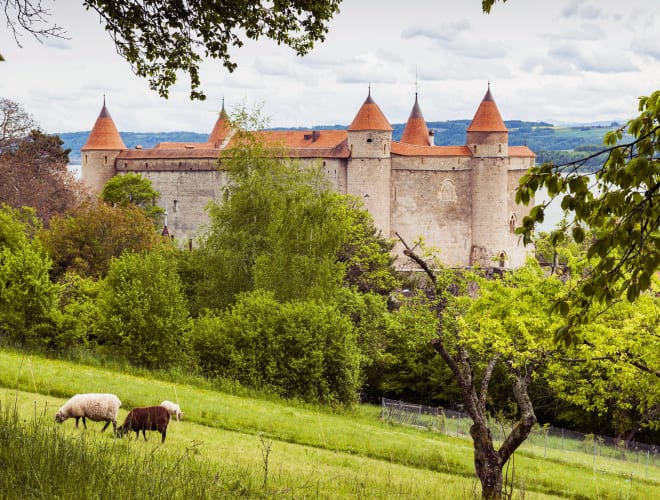 Grandson, Château de Grandson
