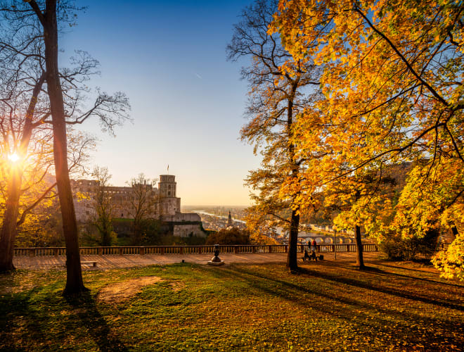 Hortus Palatinus, Heidelberg Infos, Preise und mehr ADAC Maps
