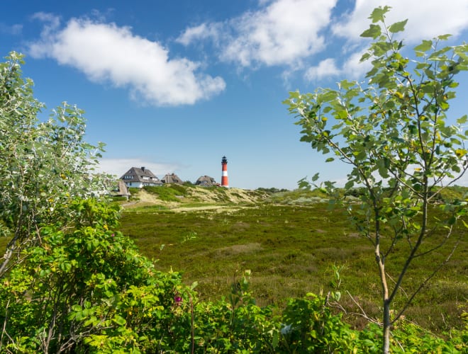 Hörnum/Sylt, Hörnumer Odde