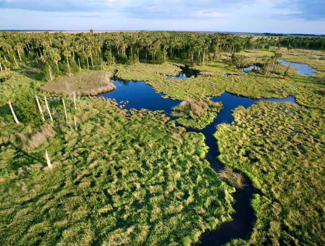Homestead, FL, Everglades National Park